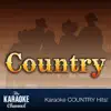 The Karaoke Channel - The Karaoke Channel - In the style of Carlene Carter - Vol. 1